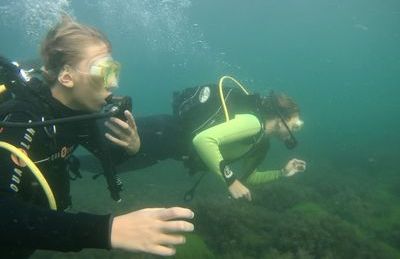 Море зовёт!