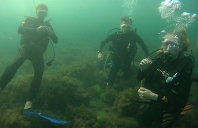 Море зовёт!