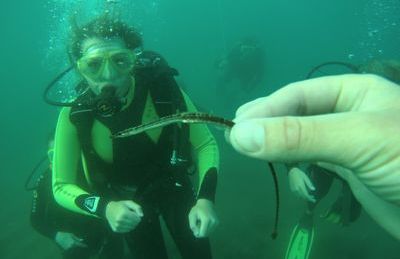 Море зовёт!