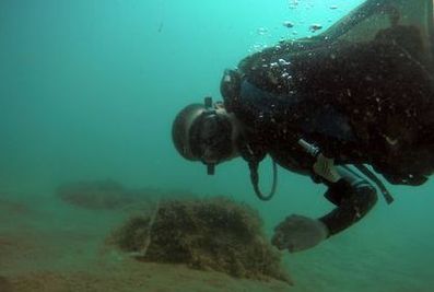 Море зовёт!